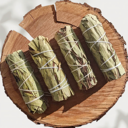 Eucalyptus ulmoides leaves