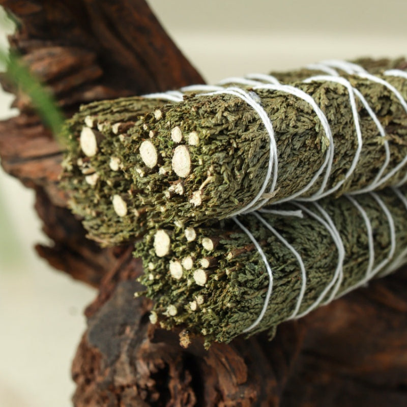 The Evergreen Anchor | Northern California Cedar