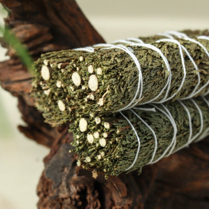 The Evergreen Anchor | Northern California Cedar