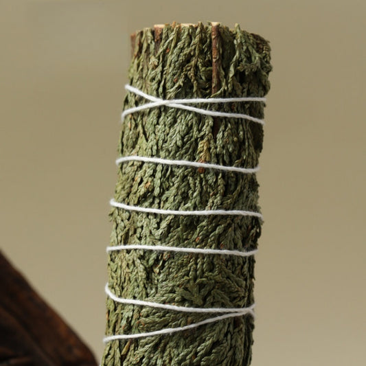 The Evergreen Anchor | Northern California Cedar