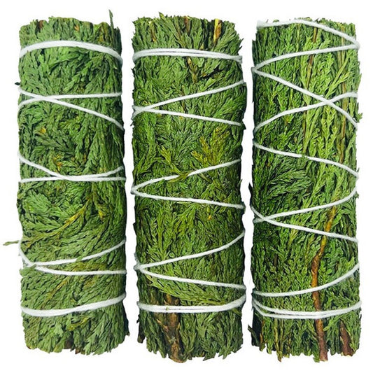 The Evergreen Anchor | Northern California Cedar