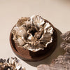 Heritage Porcelain Petal Incense Holder & Oil Diffuser - Plume