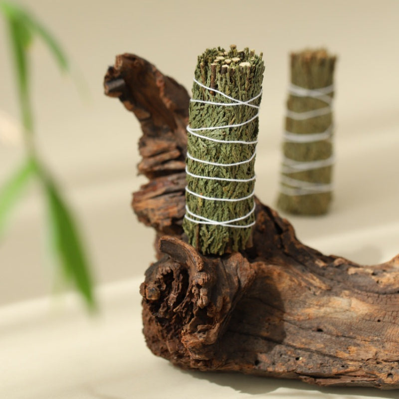 The Evergreen Anchor | Northern California Cedar