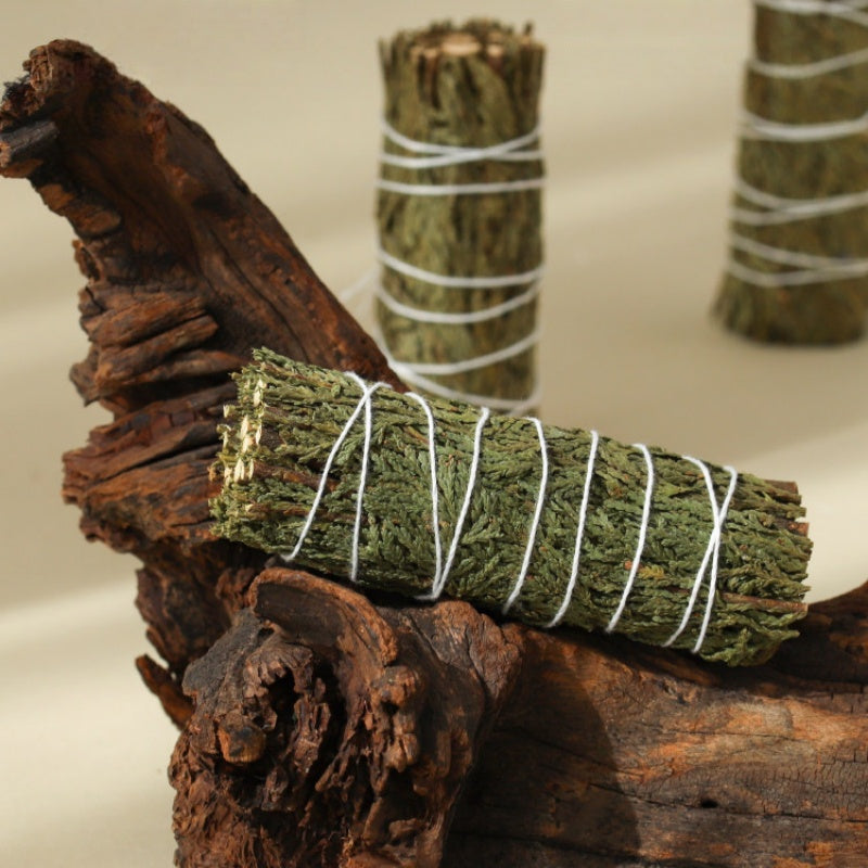 The Evergreen Anchor | Northern California Cedar