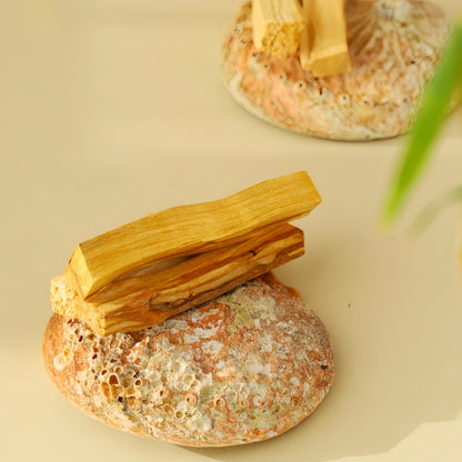 Artisanal High-Resin Palo Santo Wood Sticks